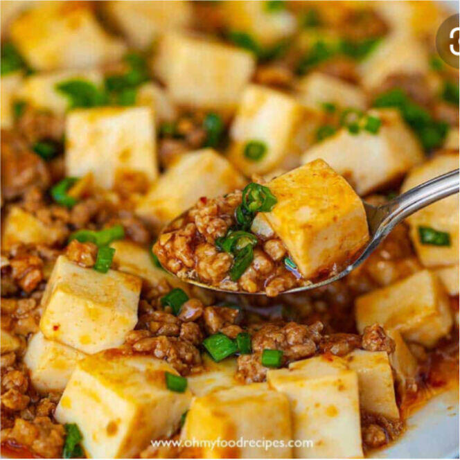 (Spicy) Ma Po Bean Curd (w. Pork)